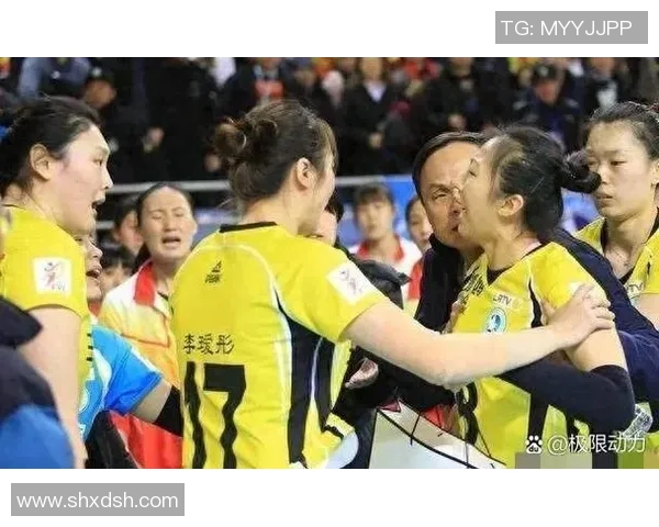 河南女排与河北女排激战正酣谁能在这场较量中笑到最后 河南女排与河北女排激战正酣谁能在这场较量中笑到最后