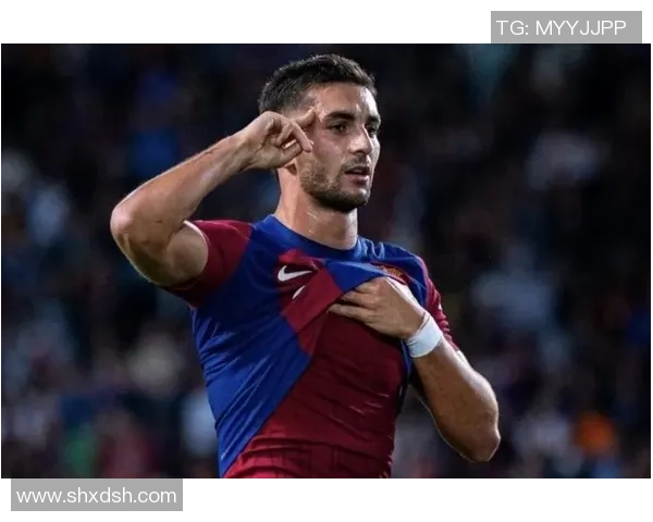 费兰托雷斯:从新星崛起到足球巨星的华丽转身与未来展望 费兰托雷斯:从新星崛起到足球巨星的华丽转身与未来展望