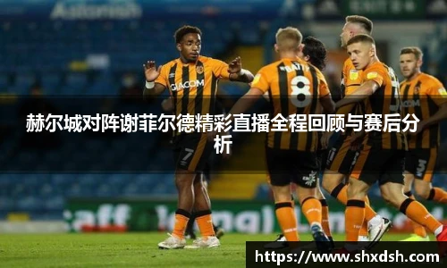 赫尔城对阵谢菲尔德精彩直播全程回顾与赛后分析